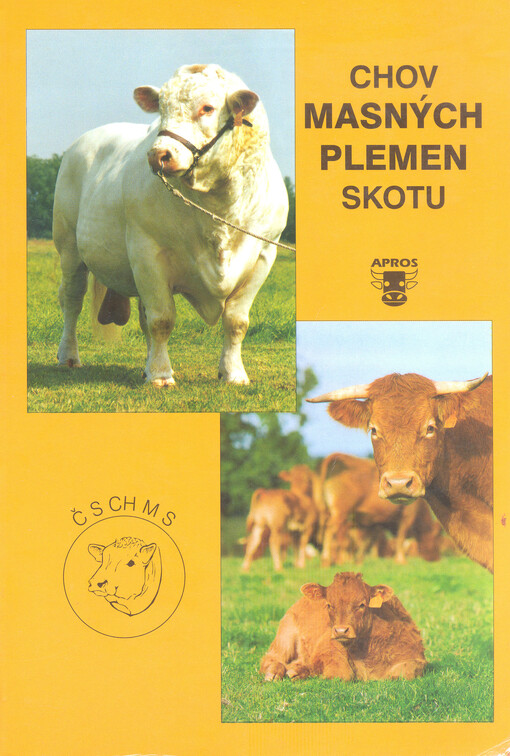Chov masných plemen skotu
