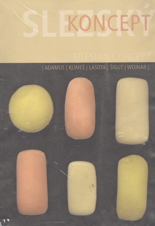 Slezský koncept =: Silesian concept : Adamus, Klimeš, Lasota, Šigut, Wojnar