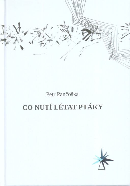 Co nutí létat ptáky