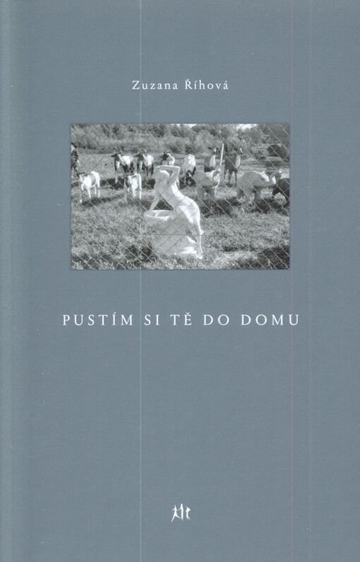 Pustím si tě do domu