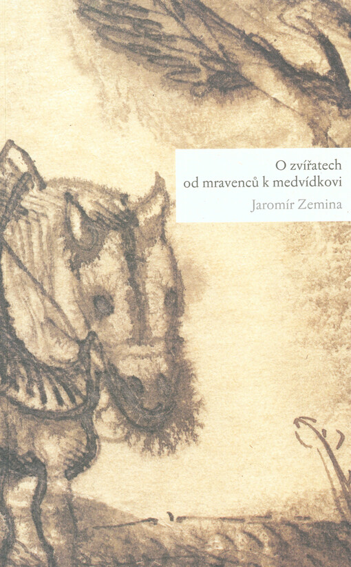 O zvířatech od mravenců k medvídkovi