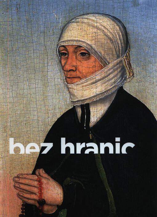 Bez hranic: umění v Krušnohoří mezi gotikou a renesancí