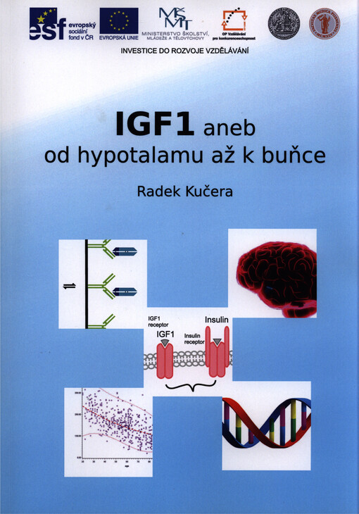 IGF1, aneb, Od hypotalamu až k buňce
