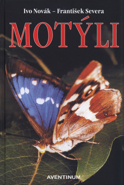 Motýli