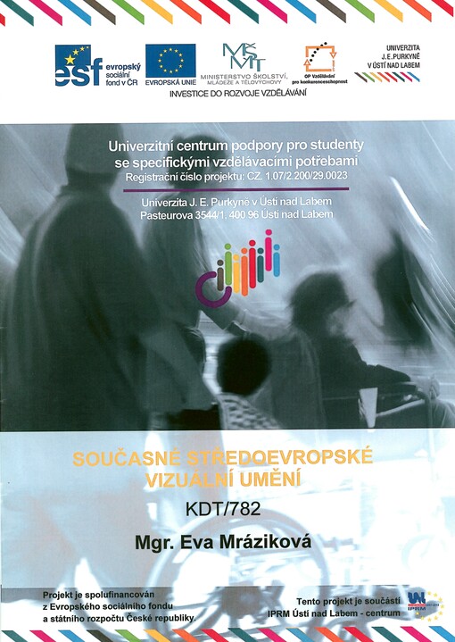 Současné středoevropské vizuální umění