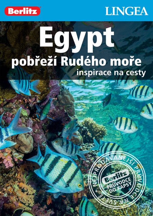 Egypt - pobřeží Rudého moře