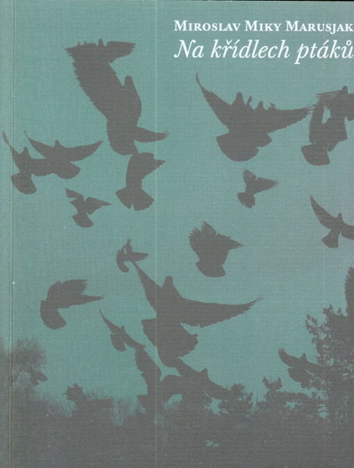 Na křídlech ptáků