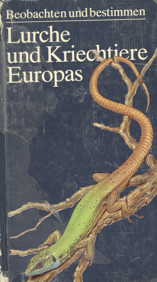 Lurche und Kriechtiere Europas