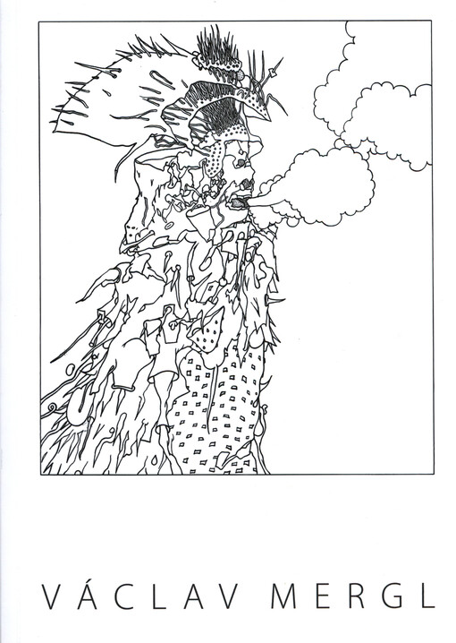 Václav Mergl : sekvence zastaveného času