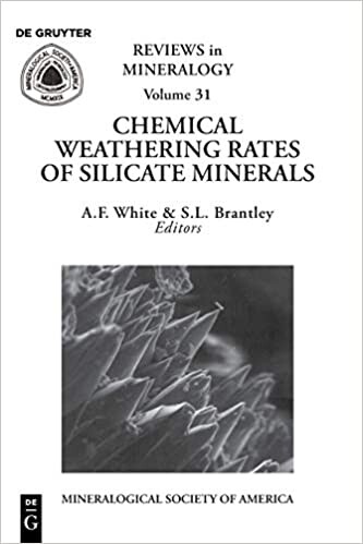 Chemical weathering rates of silicate minerals