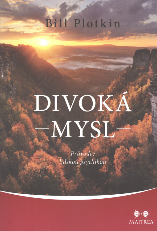 Divoká mysl