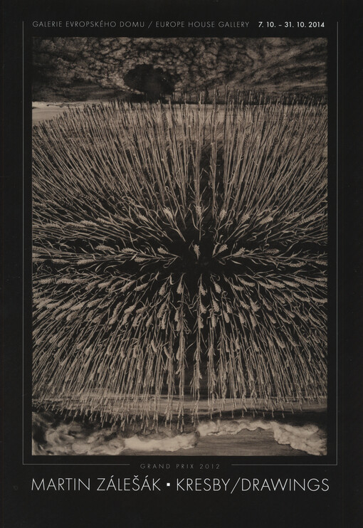 Martin Zálešák : kresby : Galerie Evropského domu 7.10.-31.10.2014 = drawing : Europe House Gallery 7.10.-31.10.2014 : Grand Prix 2012