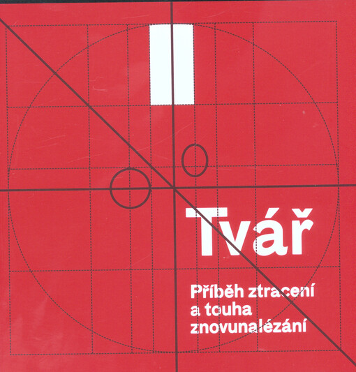 Tvář : příběh ztracení a touha znovunalézání