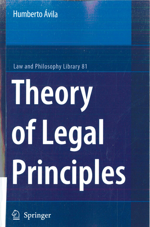 Theory of legal principles