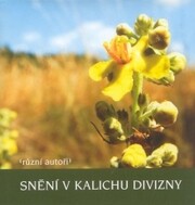 Snění v kalichu divizny.