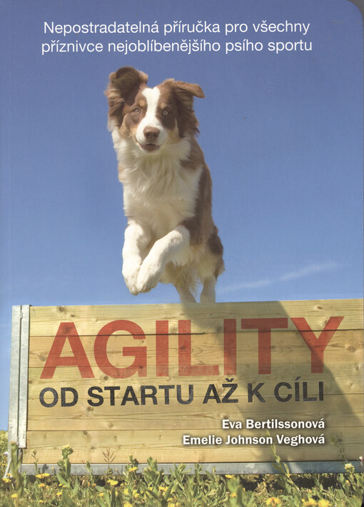 Agility - Od startu až k cíli