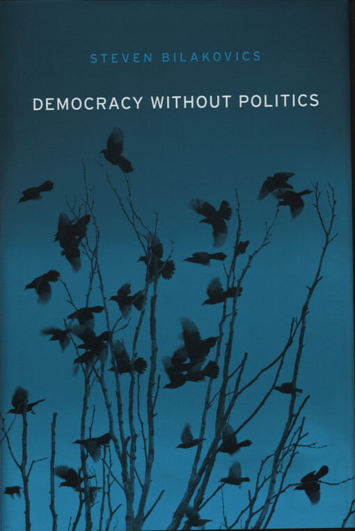 Democracy without politics