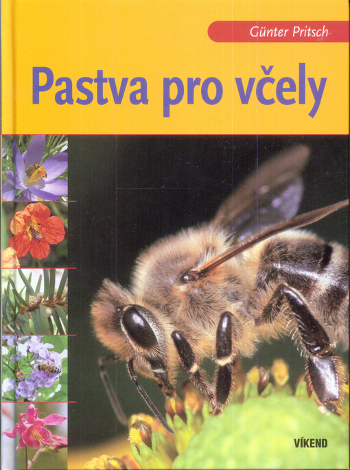 Pastva pro včely