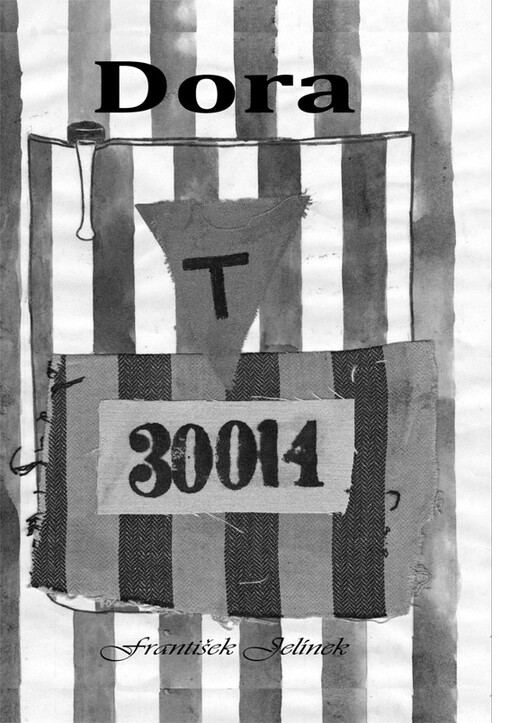 Dora : zadrátované myšlenky a vzpomínky