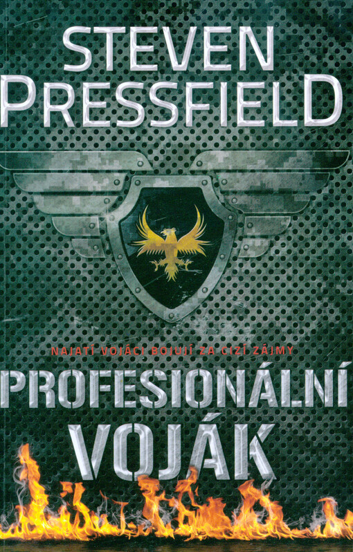 Profesionální voják