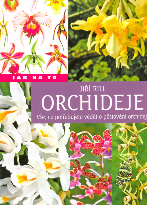 Orchideje