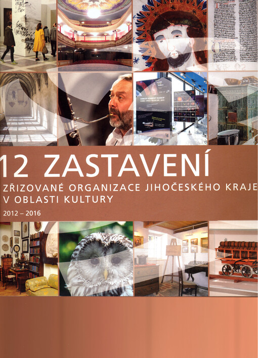 12 zastavení : zřizované organizace Jihočeského kraje v oblasti kultury 2012-2016