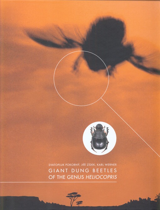 Giant dung beetles of the genus Heliocopris (Scarabaeidae)