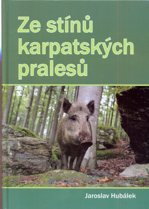 Ze stínů karpatských pralesů