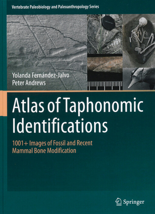 Atlas of taphonomic identifications : 1001+ images of fossil and recent mammal bone modification
