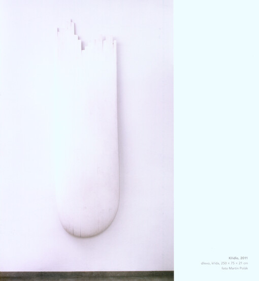 Jindřich Zeithamml : souznění : Galerie Dům, 7.8.-24.9.2016