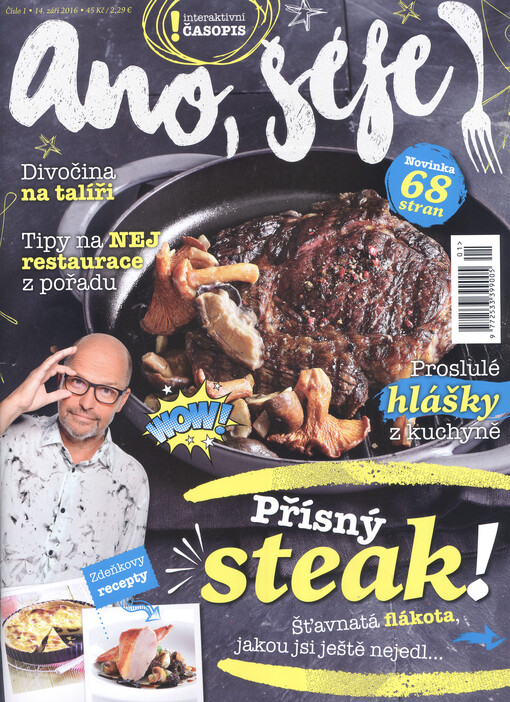 Ano, šéfe! : interaktivní časopis