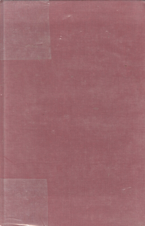 Critical perspectives on Jean Rhys