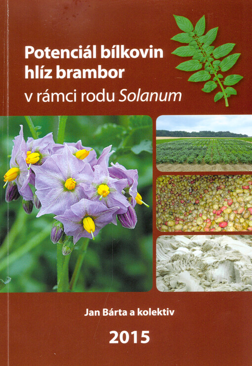 Potenciál bílkovin hlíz brambor v rámci rodu Solanum