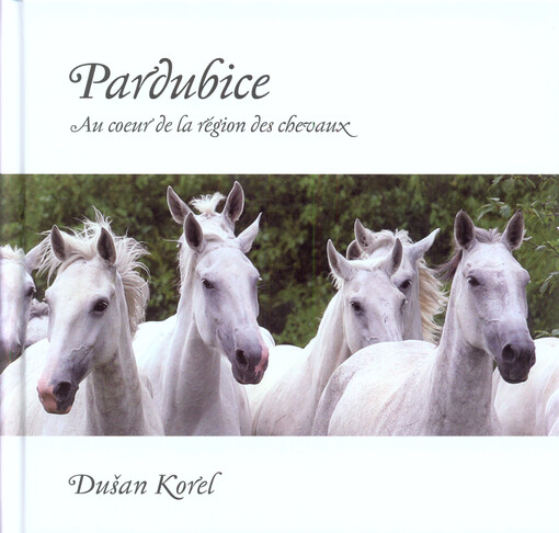 Pardubice : au cœur de la région des chevaux