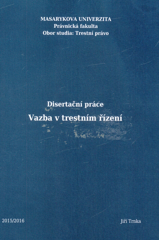 Vazba v trestním řízení