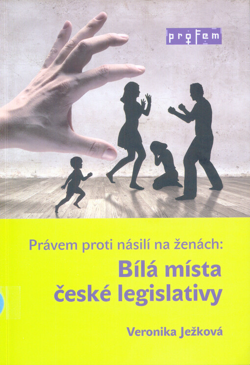 Právem proti násilí na ženách: Bílá místa české legislativy
