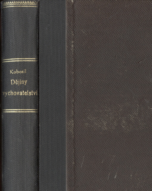 Dějiny vychovatelství