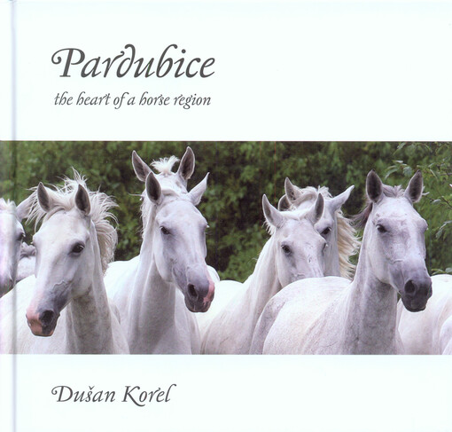 Pardubice : the heart of a horse region