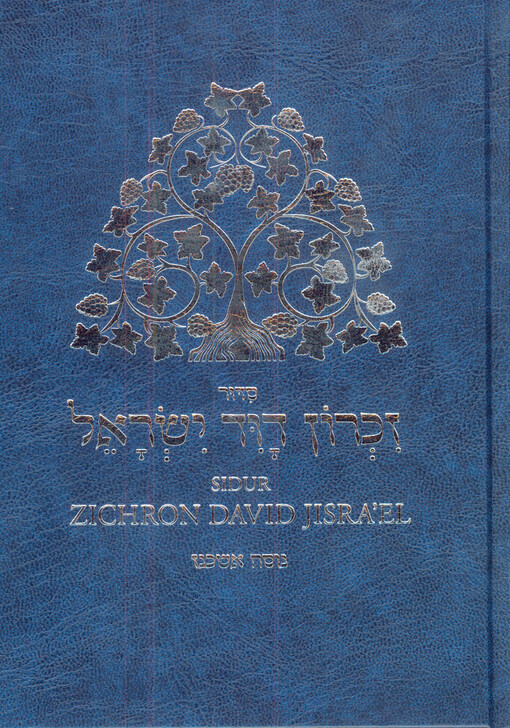 Zichron David Jisra'el : sidur : le-chol, le-šabat u-le-jamim tovim im targum čechi : nosach aškenaz = sidur : modlitební kniha pro všední dny, šabat a svátky s paralelním českým překladem a komentářem : nosach aškenaz