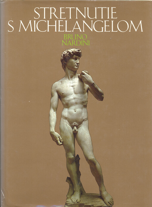 Stretnutie s Michelangelom