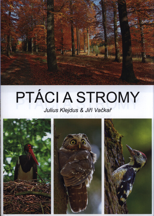 Ptáci a stromy