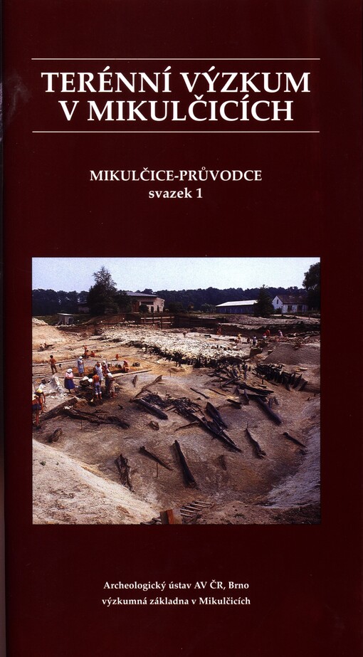 Terénní výzkum v Mikulčicích