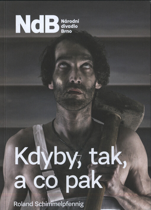 Roland Schimmelpfennig, Kdyby, tak, a co pak : čtyři barvité výklady temné díry ve zdi : česká premiéra 7. dubna 2016 v divadle Reduta