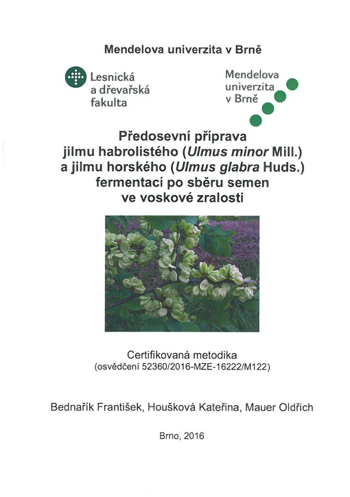 Předosevní příprava jilmu habrolistého (Ulmus minor Mill.) a jilmu horského (Ulmus glabra  huds.) fermentací po sběru semen ve voskové zralosti