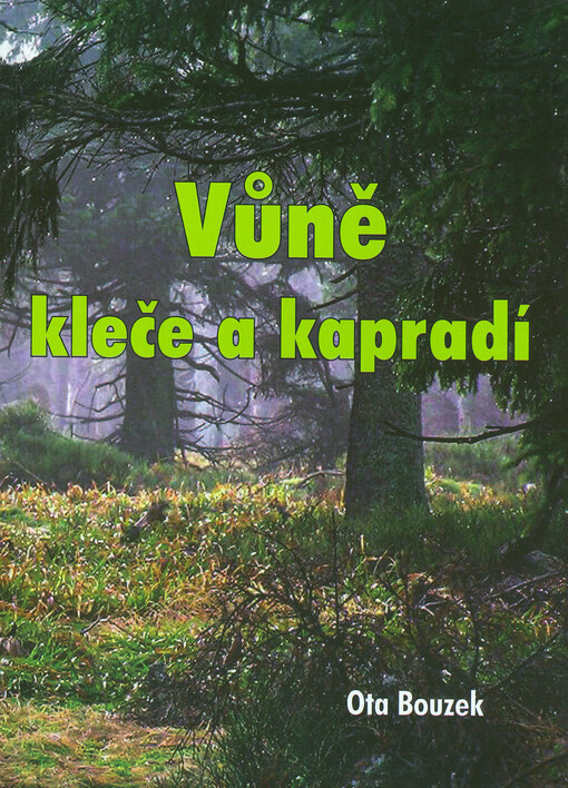 Vůně kleče a kapradí