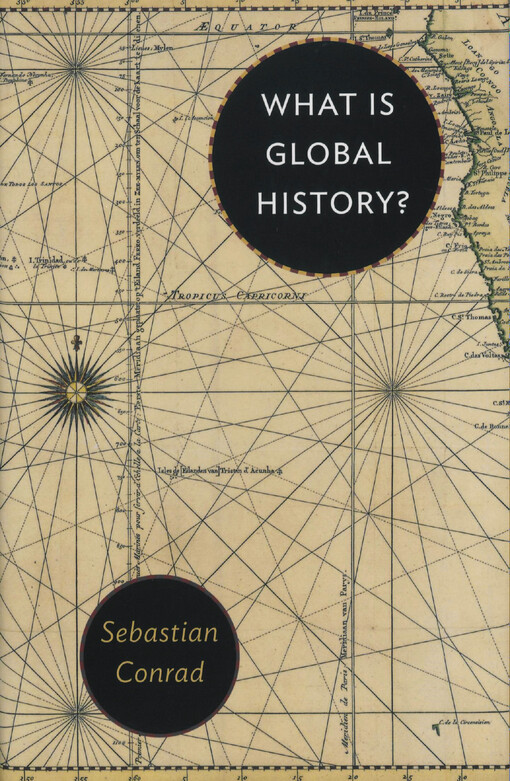 What is global history?