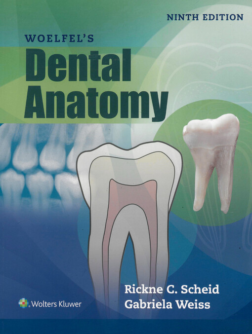 Woelfel’s dental anatomy