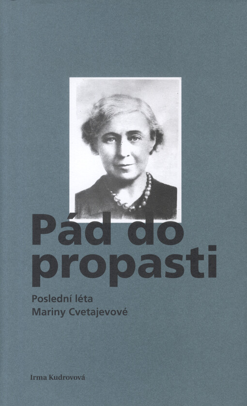 Pád do propasti