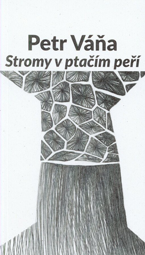 Stromy v ptačím peří