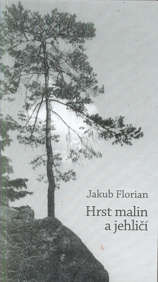 Hrst malin a jehličí